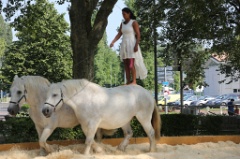 Especes d Espaces 69 * 5760 x 3840 * (9.58MB)